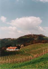 Vinogradništvo Leber 1